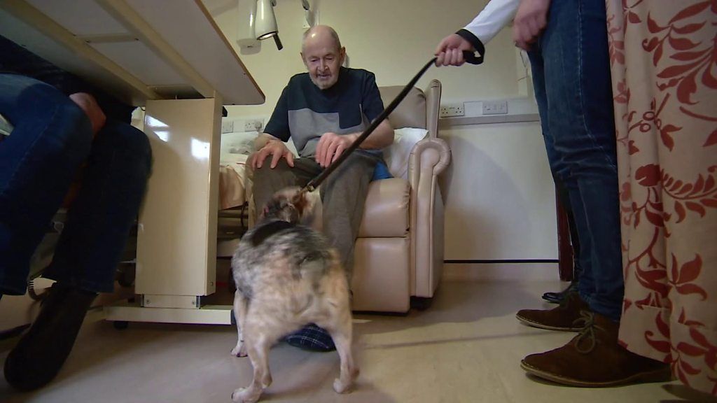 Hospices 'threatened' by funding cuts, says national body