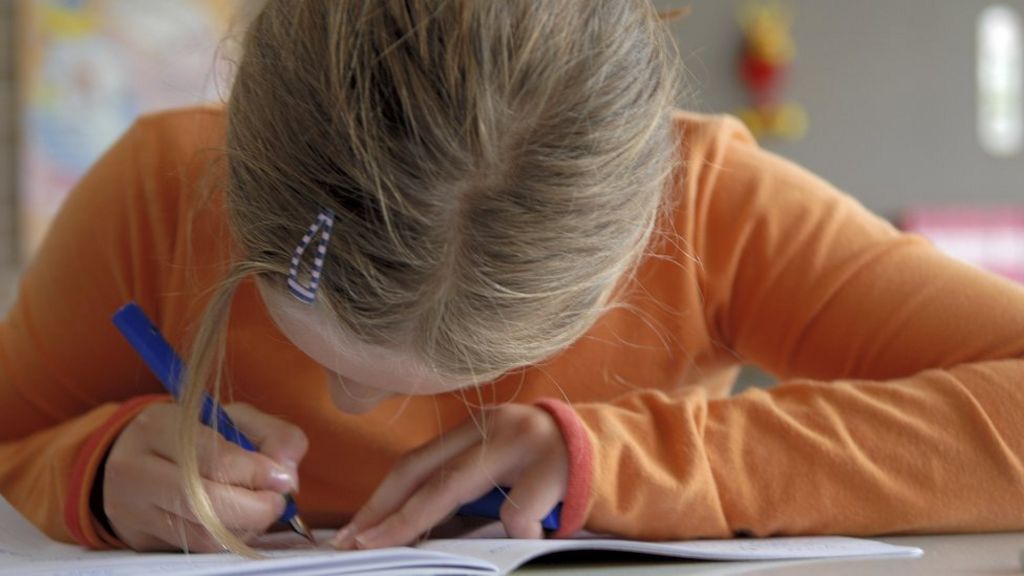 Primary pupils 'feel test pressure' - survey - BBC News
