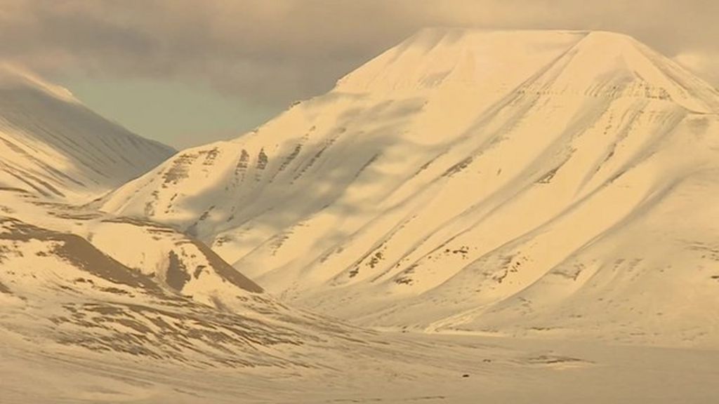 VIDEO: Inside seed vault buried in Arctic