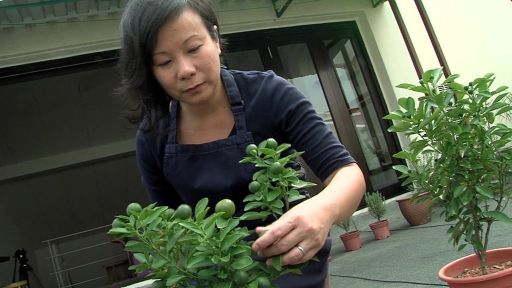 VIDEO: Lady Marmalade's success story