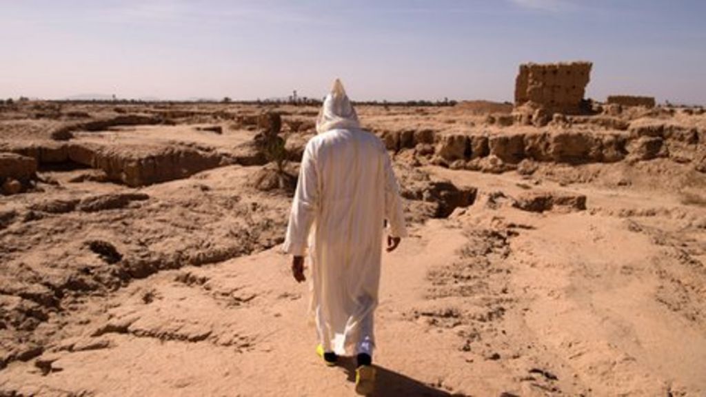 WMO: Five hottest years on record have occurred since 2011