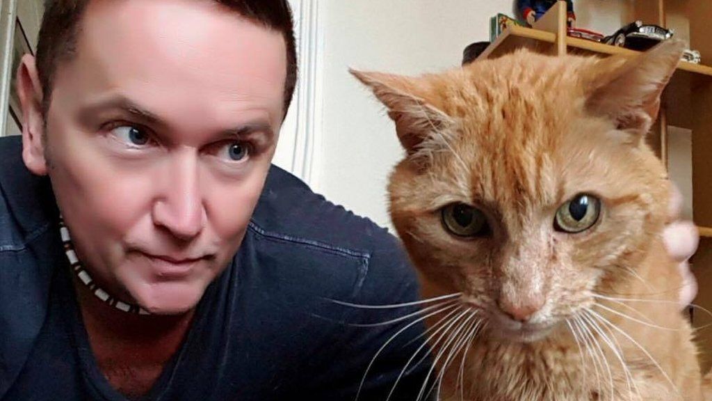 Bishop Daly's ginger cat Tom finds new home in Coleraine
