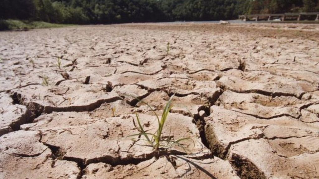 Earth warming to climate tipping point, warns study