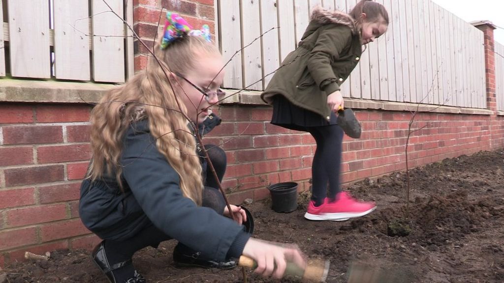 Forkhill peace forest planted at former army base