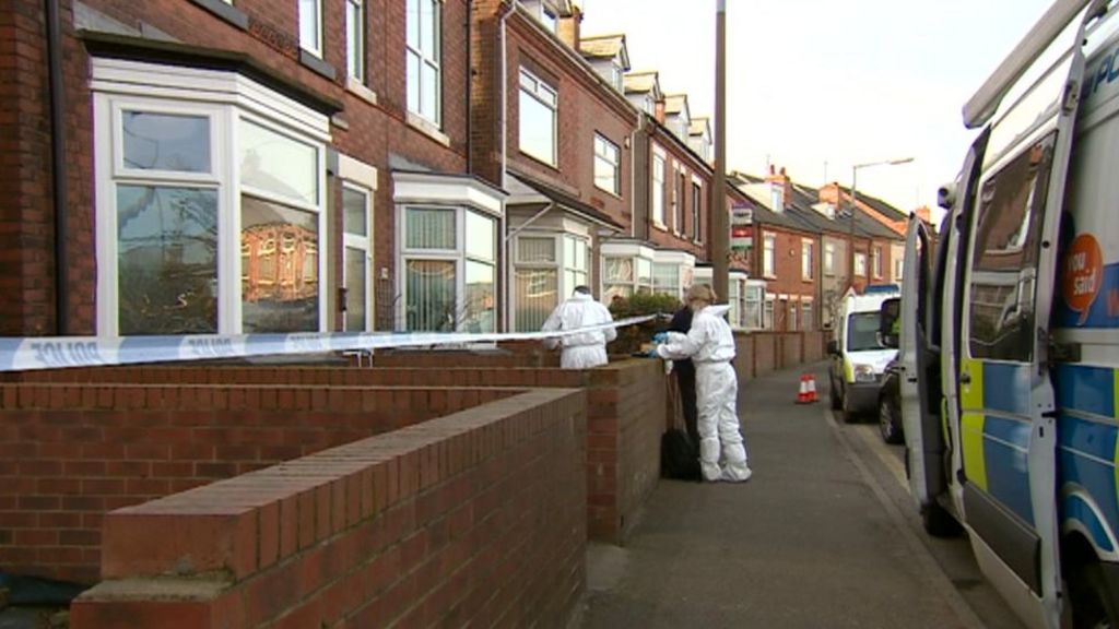 Suspect quizzed in double death probe