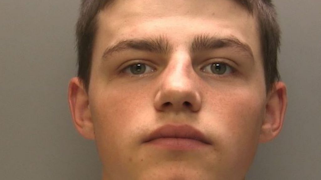 Rapist Jailed For 'brutal' Attack On Dog Walker - BBC News