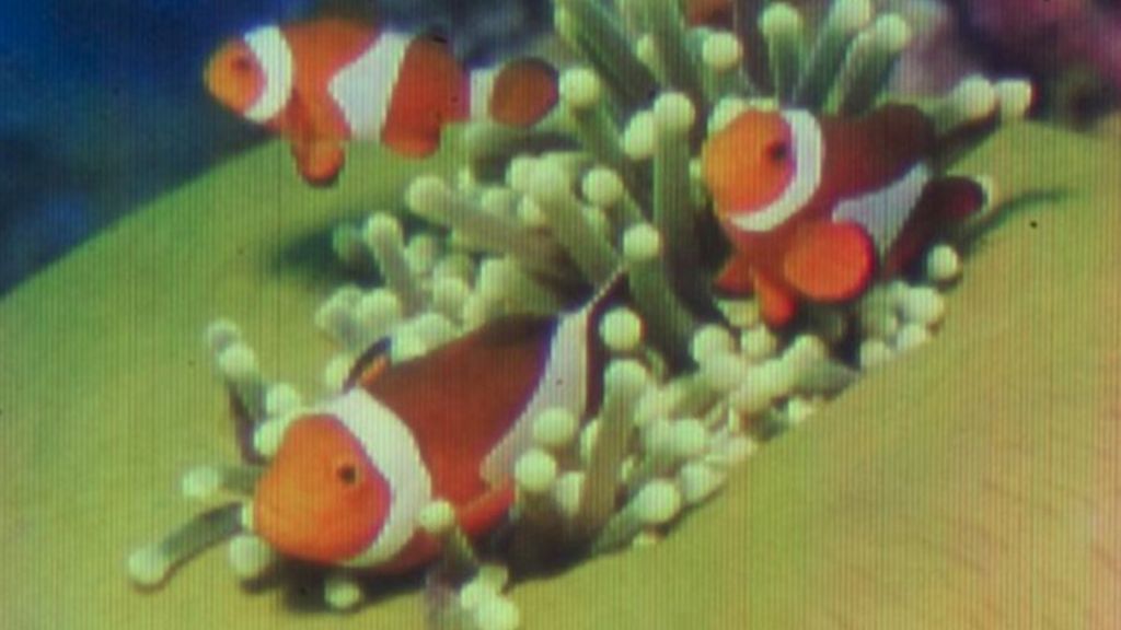 Quantum dots print tiniest inkjet image