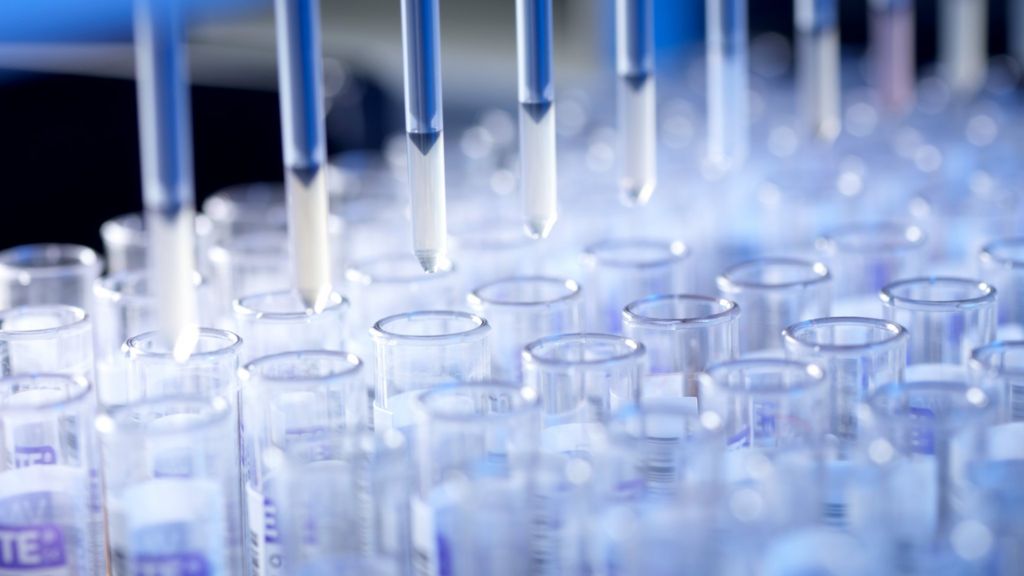 Scientists' work recognised in New Year Honours