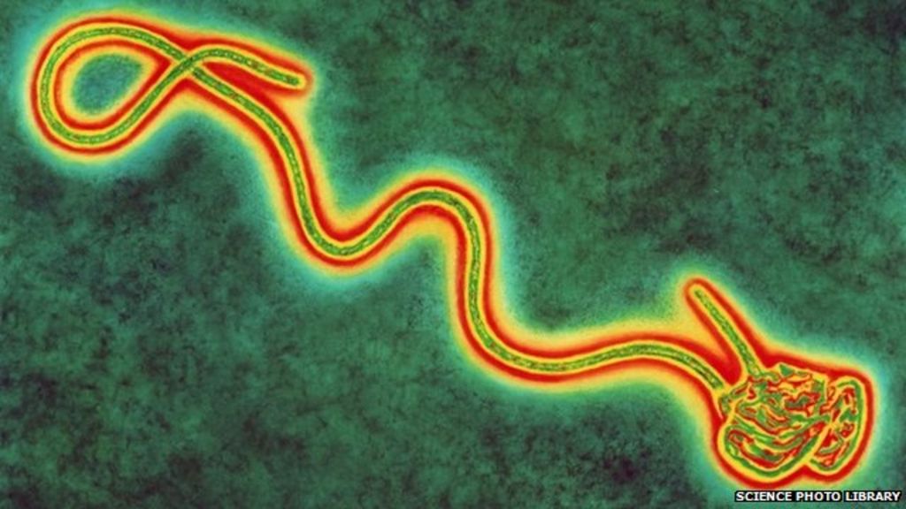 VIDEO: How can Ebola survivors get ill again?