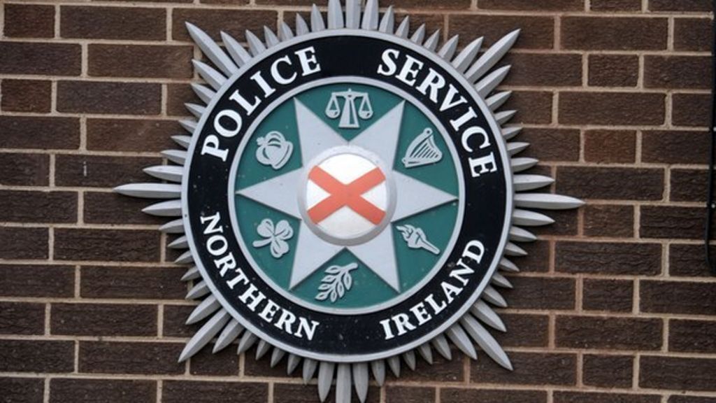 Downpatrick: Man dies in clay pigeon shooting 'accident'