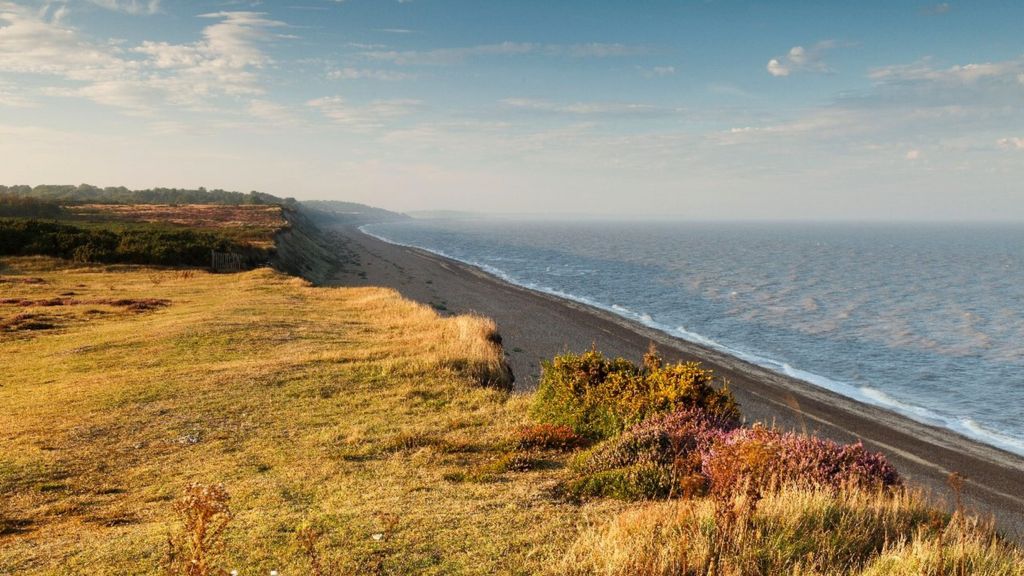 Action needed 'to protect UK coast'
