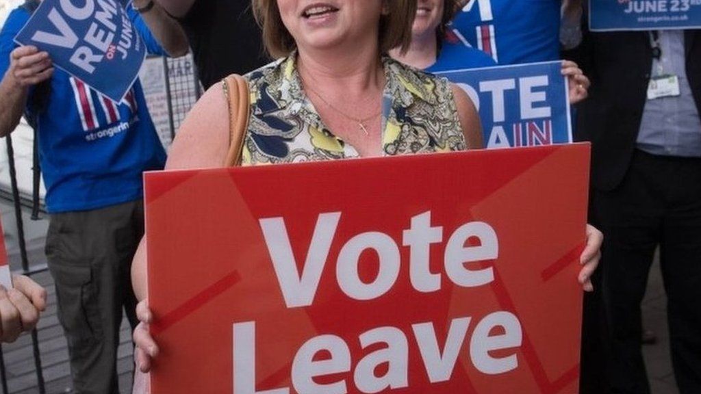 EU vote campaign spending probed
