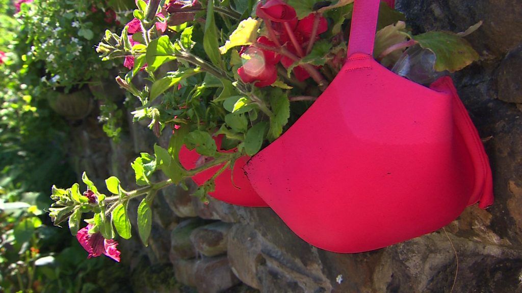 Hanging 'bra-skets': WI members in Lancashire fill bras with flowers