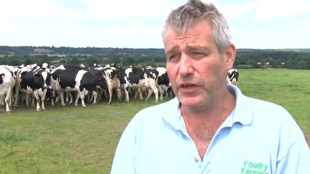 Dairy farms closures: More than 1,000 shut in three years