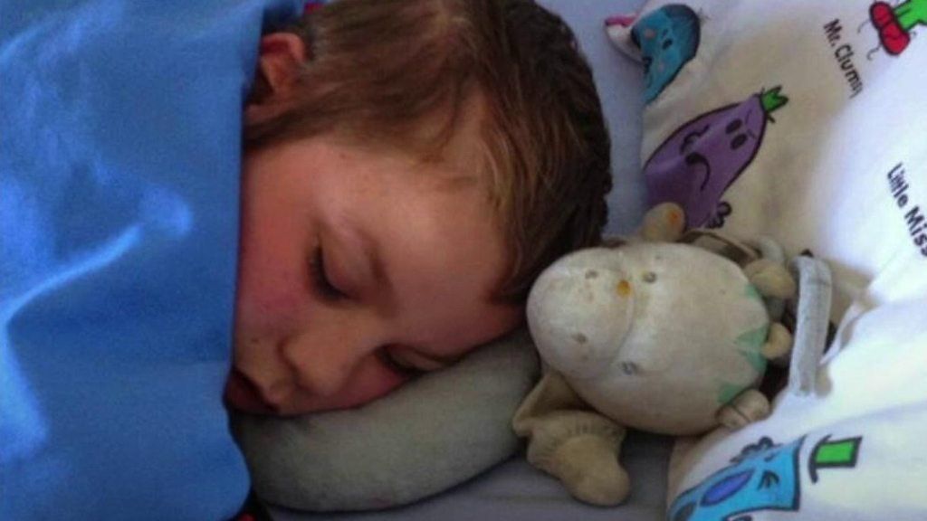 Appeal #findhorsey: Autistic boy given 'sister' toy