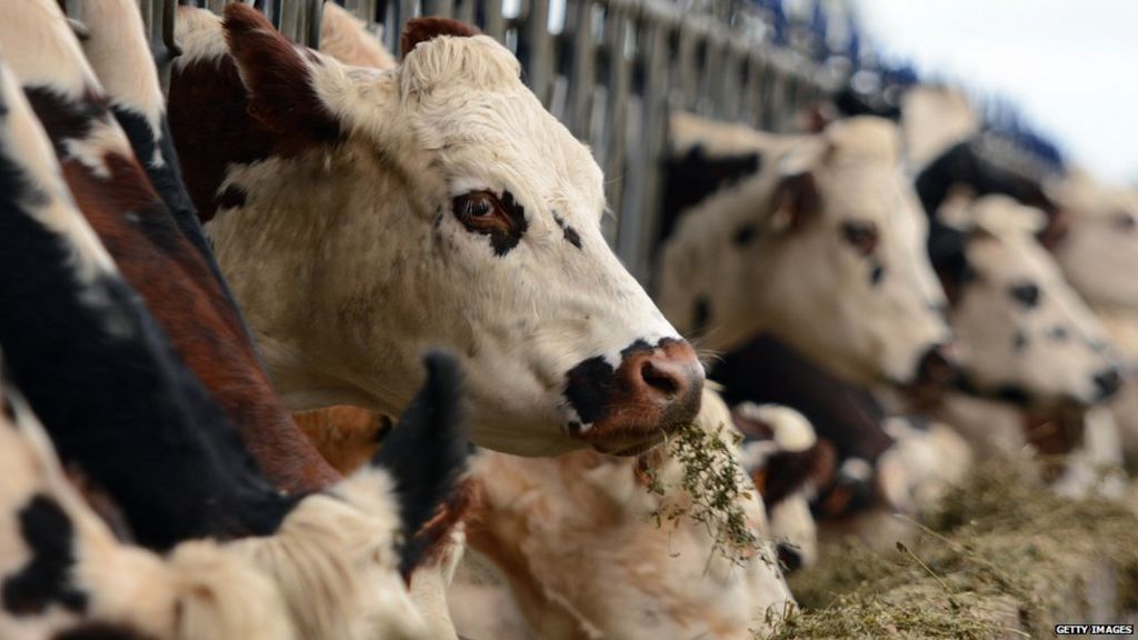 Canada and Mexico win $1bn trade ruling