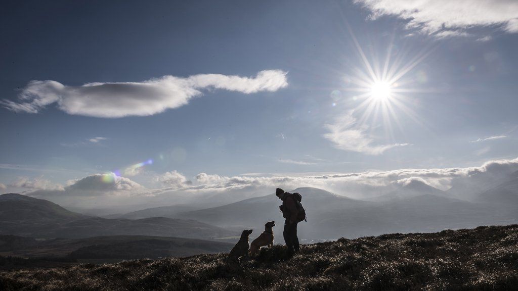 Your pictures of Scotland: 10-17 February