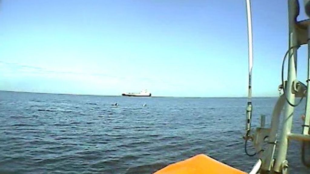 Dolphins join fishing boat rescue