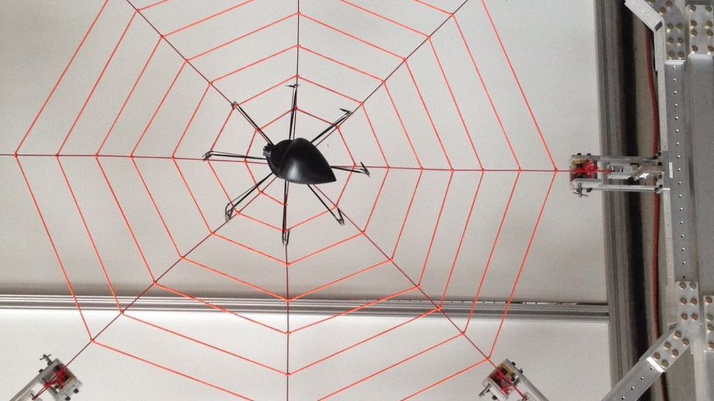 Giant web probes spider sensation