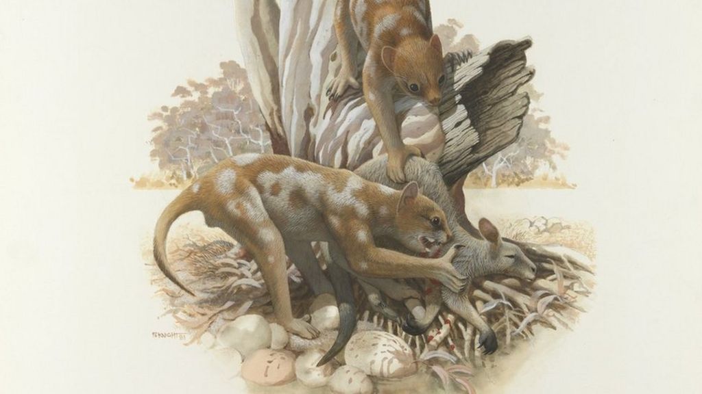 Marsupial lion 'could climb trees'