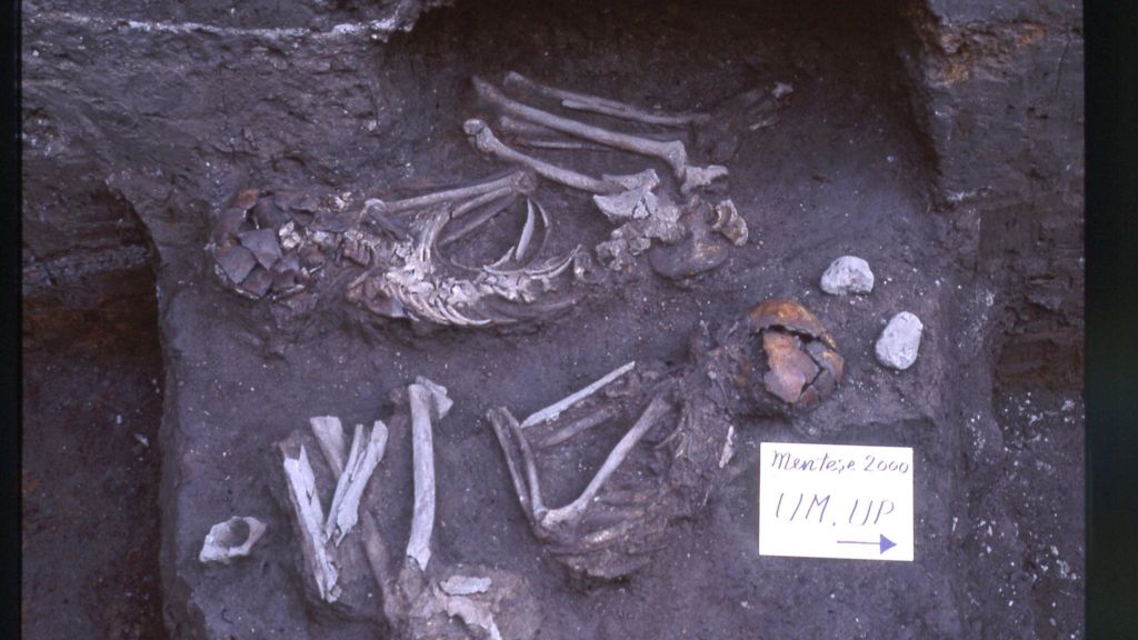 Genetic history of Europeans revealed