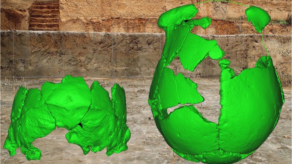 Ancient skulls give clues to China human history