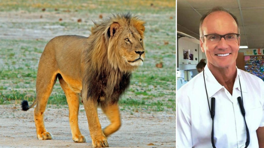US man 'regrets' killing African lion