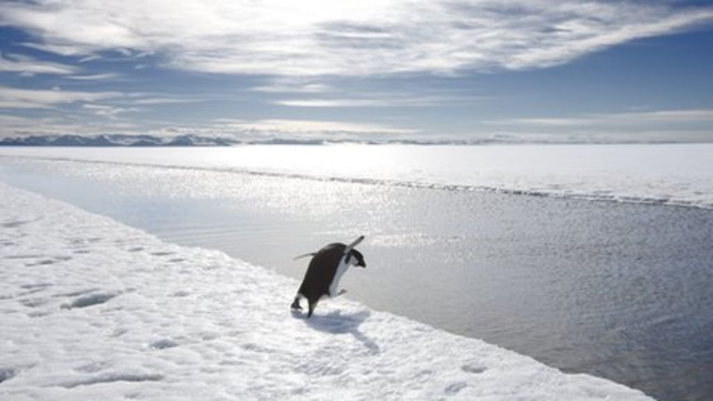 Nations push to protect Antarctica's 'last ocean'