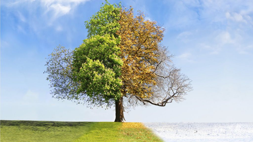 Body's 'chemical calendar' discovered