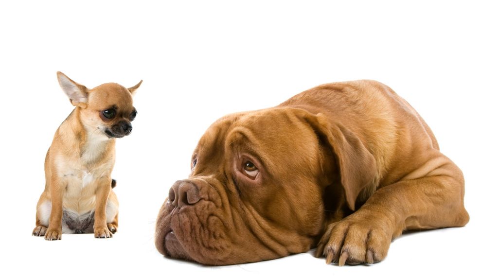 How old banks are learning from a new breed of tech start-ups