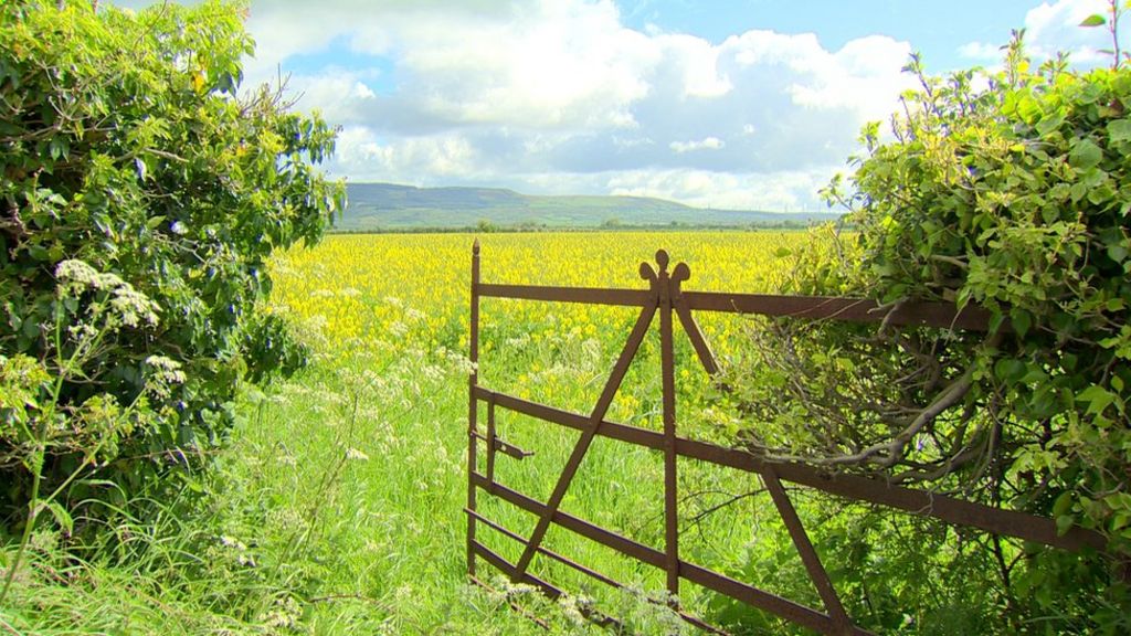 Country dwellers 'neglected' by cuts