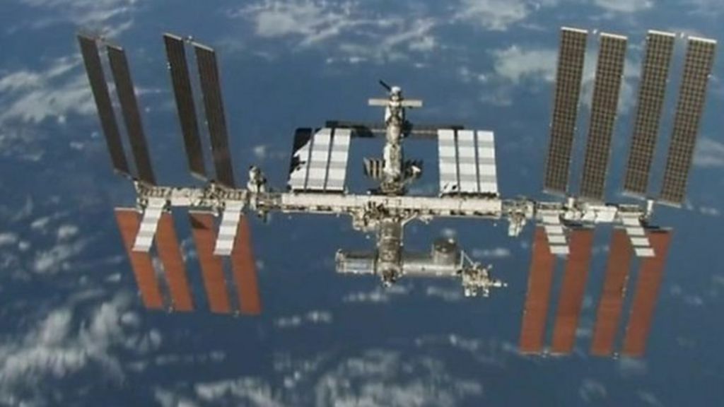 Pupils find out results of ISS space seeds experiment