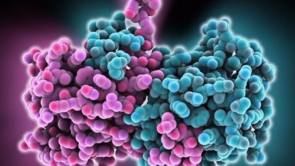 Bill Gates: Pathogen could kill 30m in a year