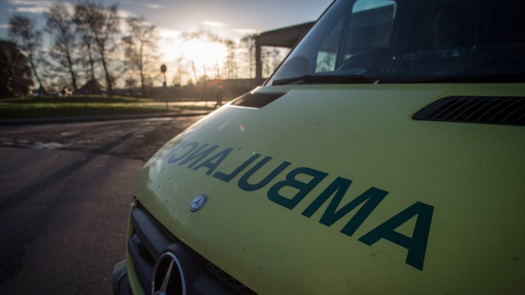 Car driver killed in collision