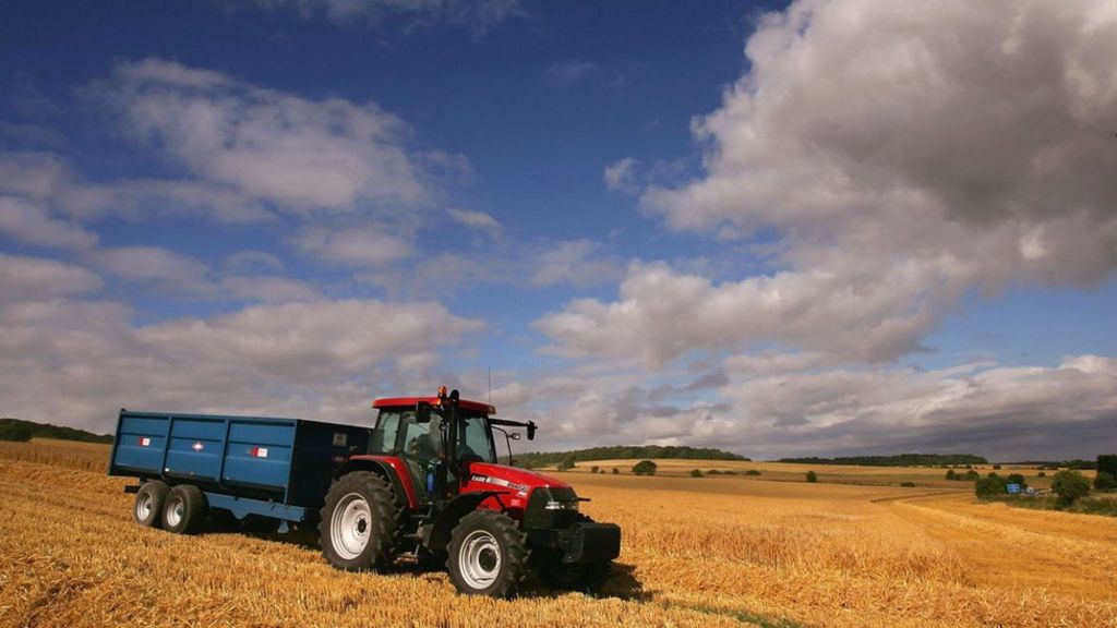 UK should produce more of its own food to protect prices, report says