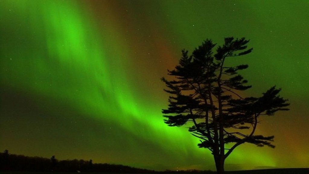 Lawnmower prompts Northern Lights alert