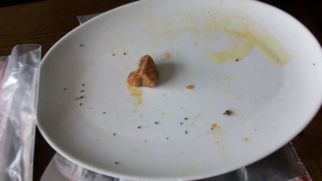 Mouse 'runs past inspector' at pub