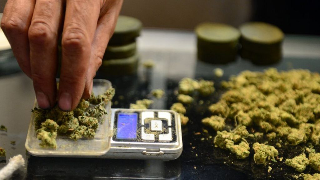 Colorado votes on marijuana tax spending