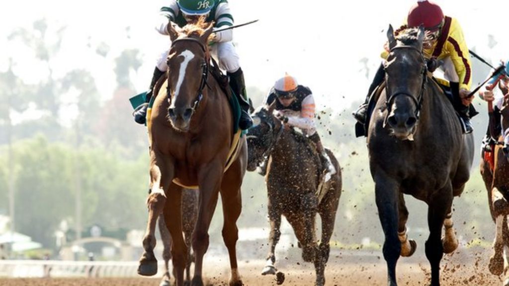 Racehorses 'still getting quicker'