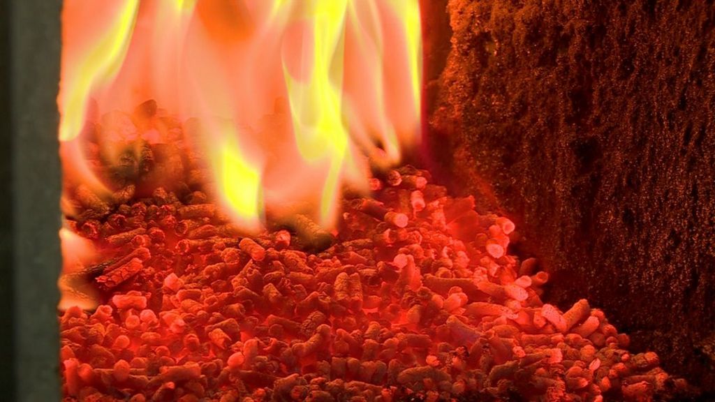 Who's who in RHI scandal?