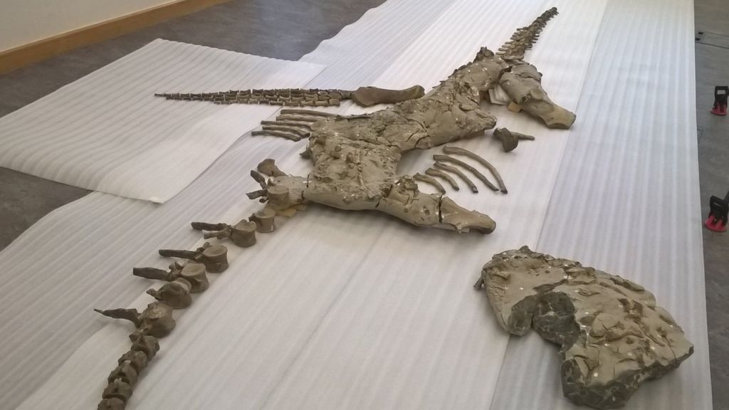 Eve the Jurassic sea monster