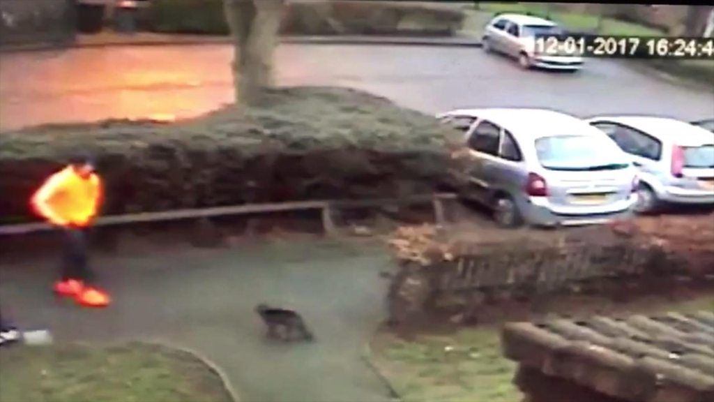 Man sought after 'sickening' attack on cat in Derby