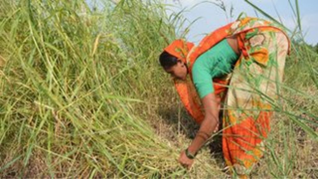 How drought is making it harder to sell in rural India