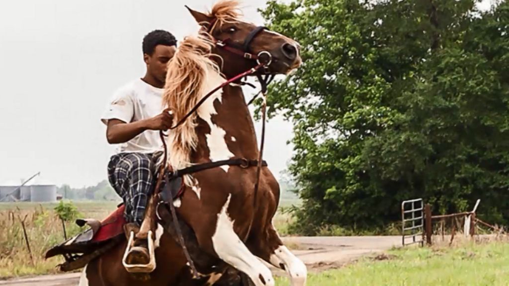Louisiana's Creole cowboys Celebrating the zydeco tradition BBC News