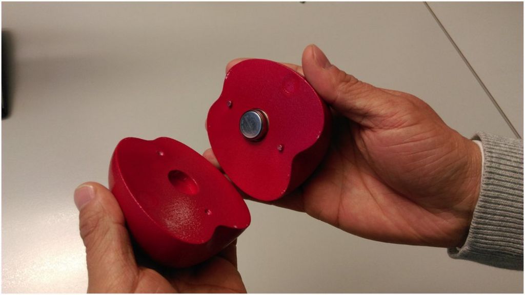 Fruit-shaped sensor 'can improve freshness'