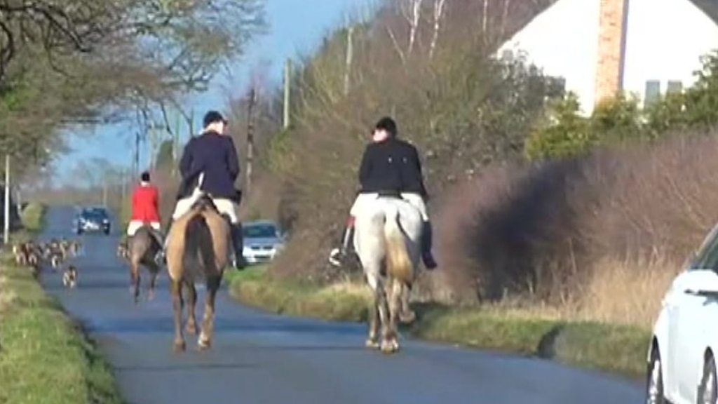Police inquiry over fox 'killing' footage in Warwickshire