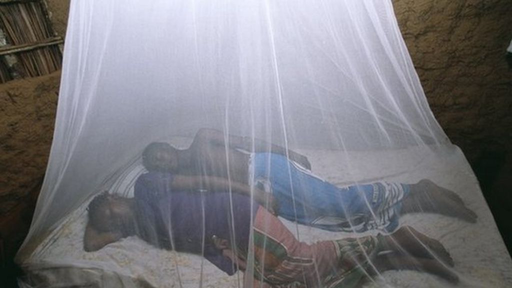 Ebola crisis 'harming malaria fight'