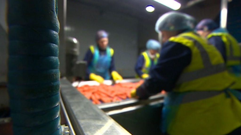 Authority's slavery remit extended