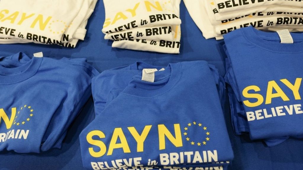 Who are the EU out campaigners?