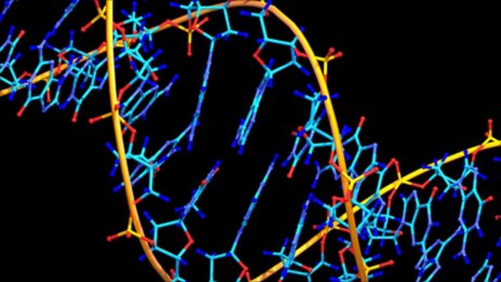 DNA computer 'calculates square roots' BBC News